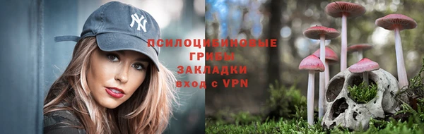 кокс Зерноград